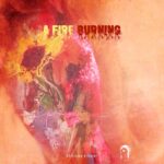 Track cover